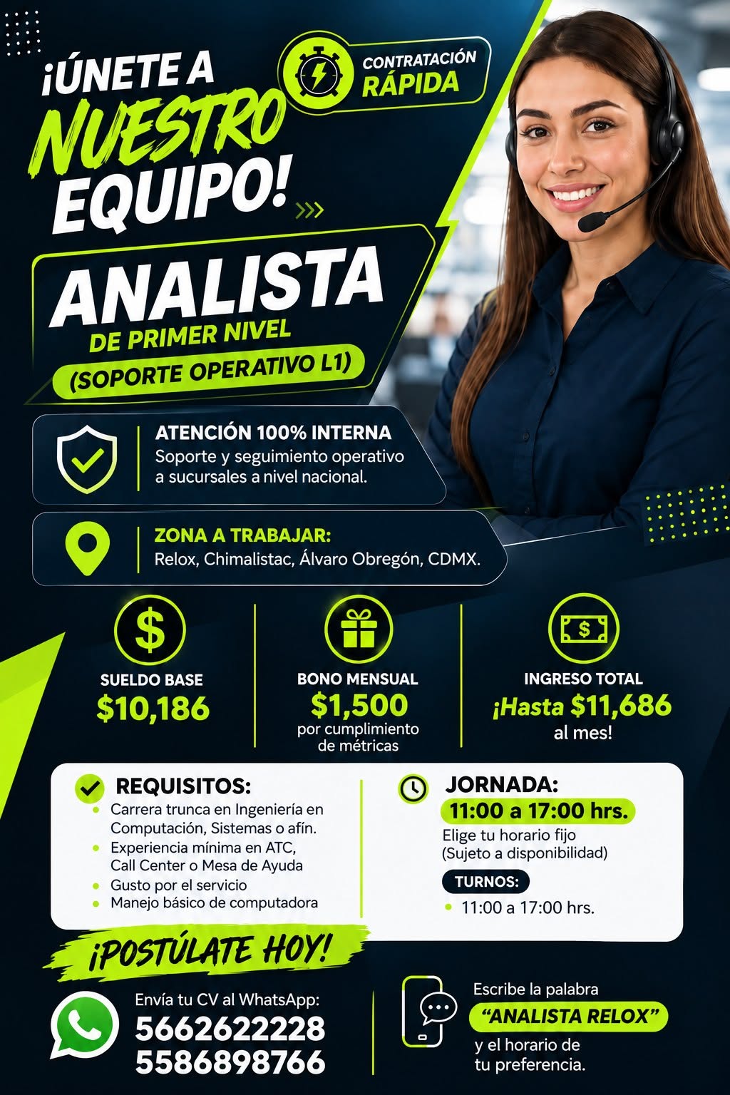 Analista de Primer Nivel