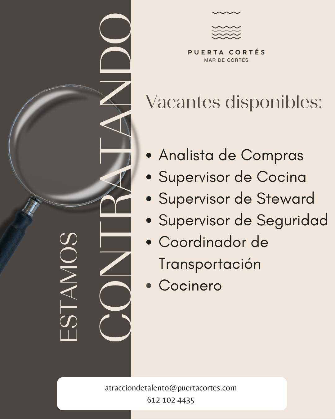 Analista de Compras