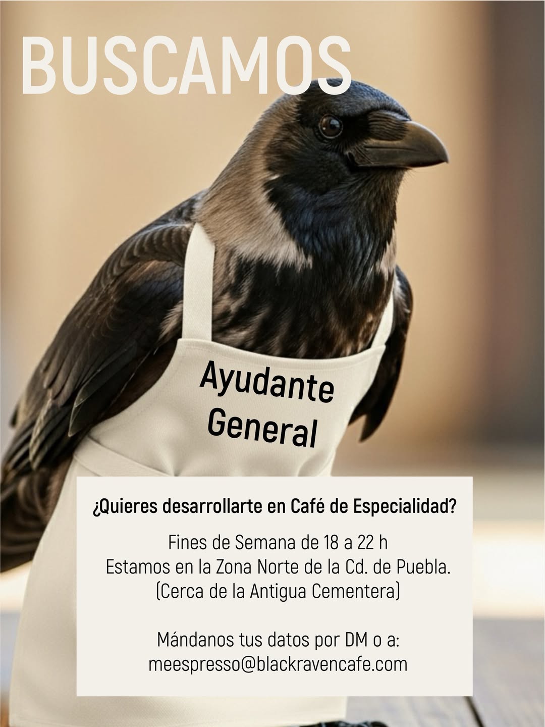 Ayudante General