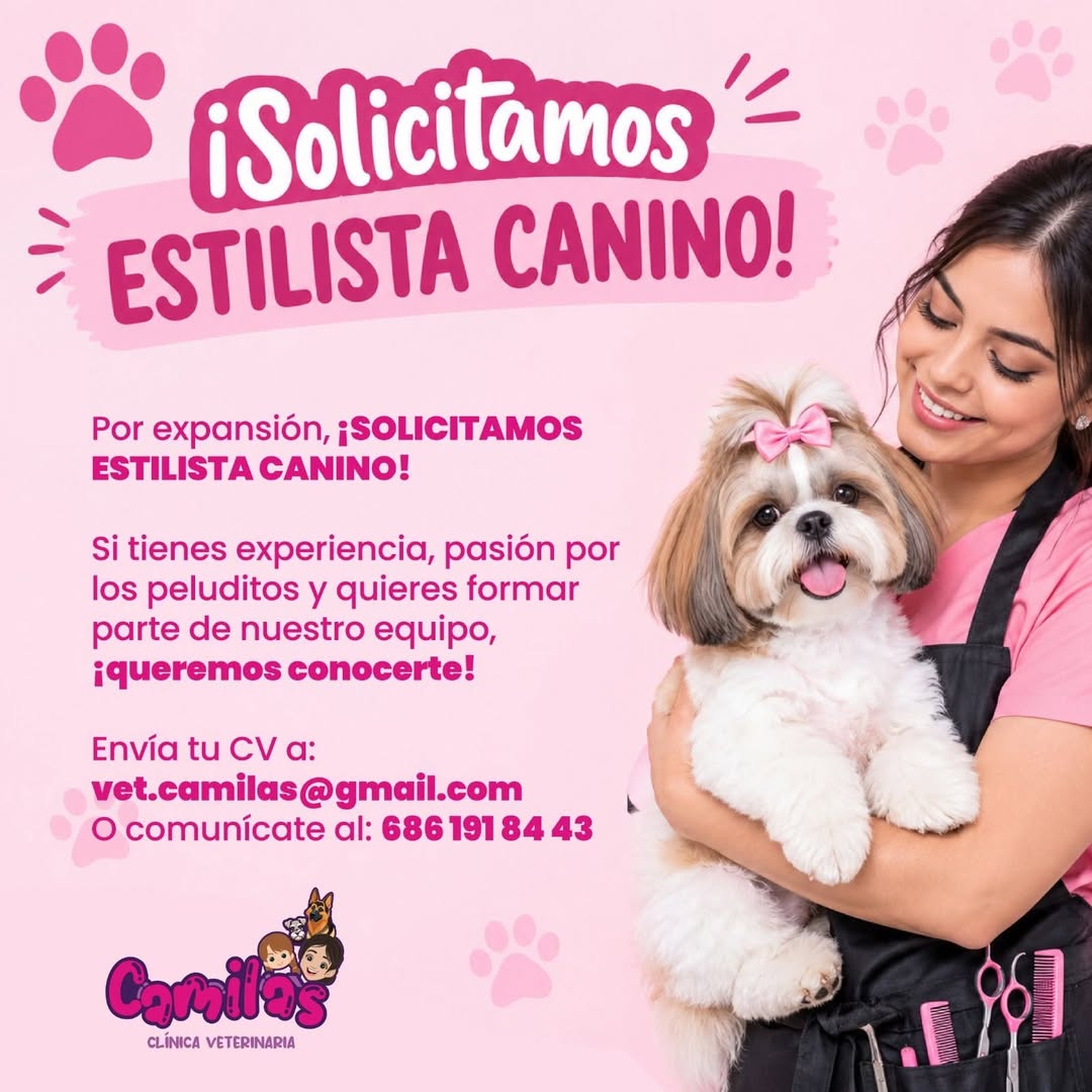 Estilista Canino