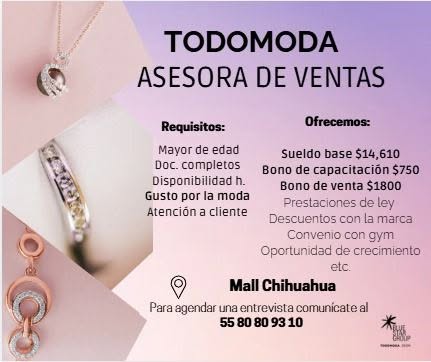 Asesora de Ventas