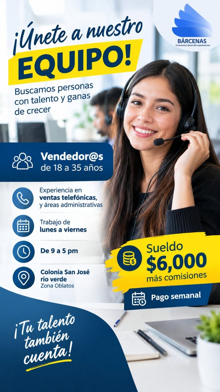 Vendedor Telefónico