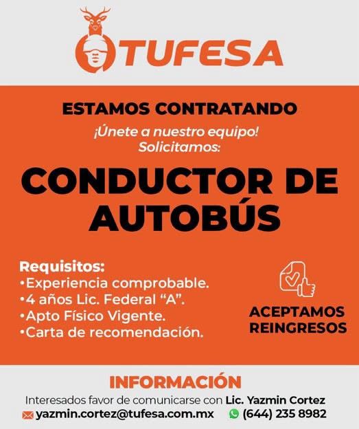Conductor de Autobús