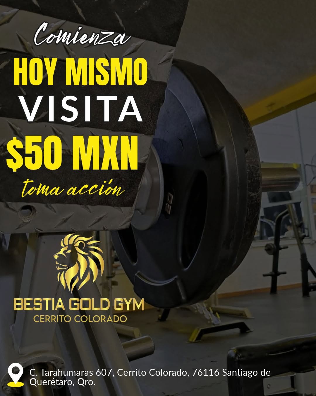 Vacante disponible
