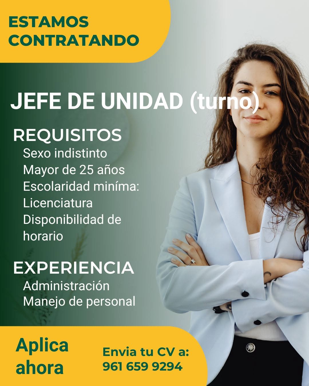 Jefe de Unidad