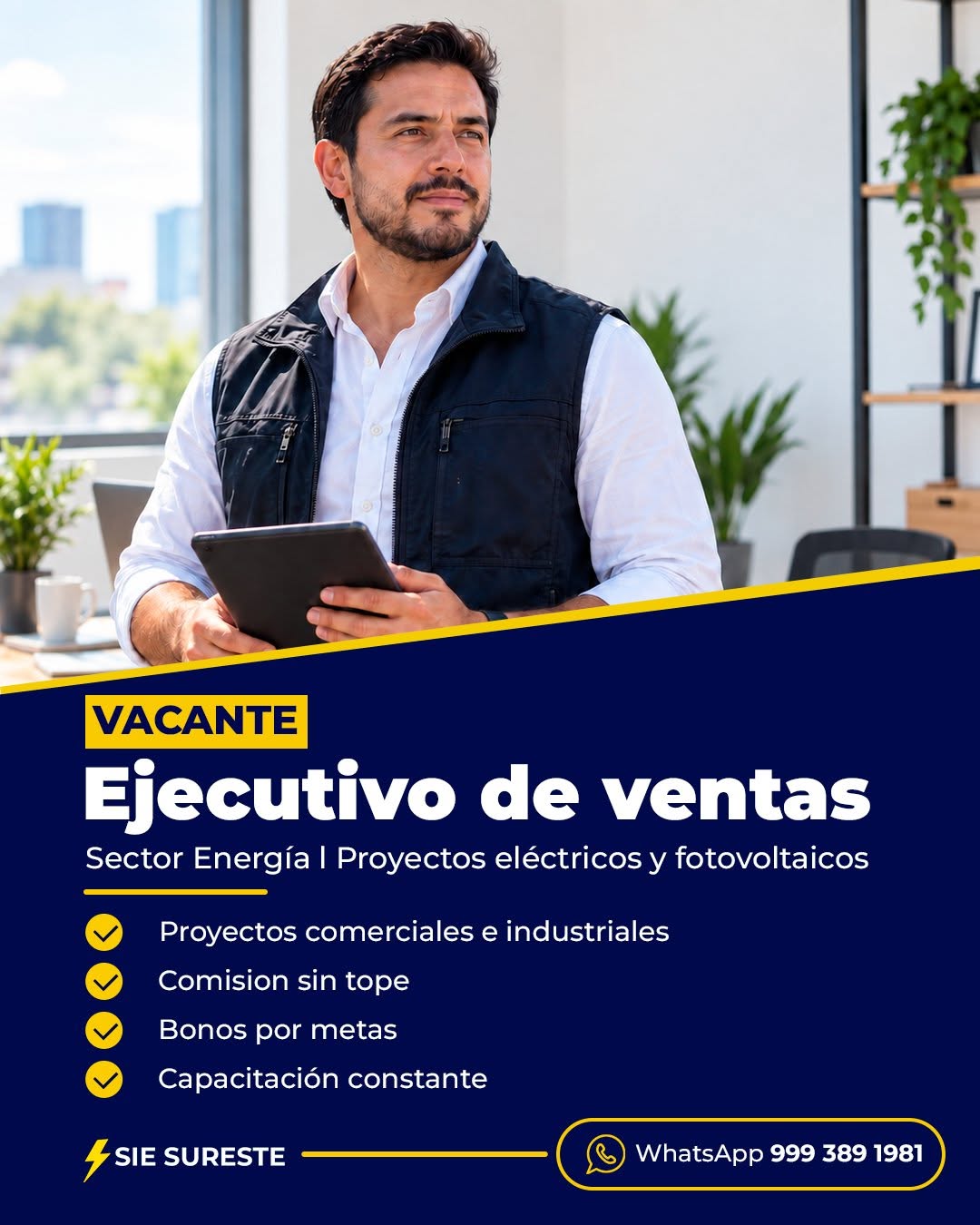 Ejecutivo de Ventas