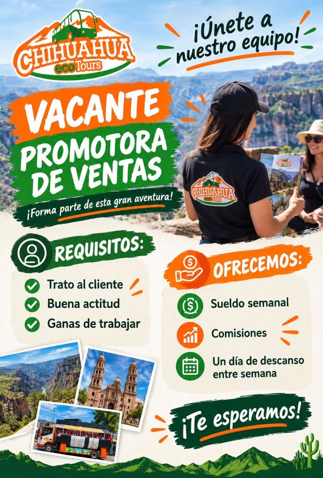 Promotora de Ventas