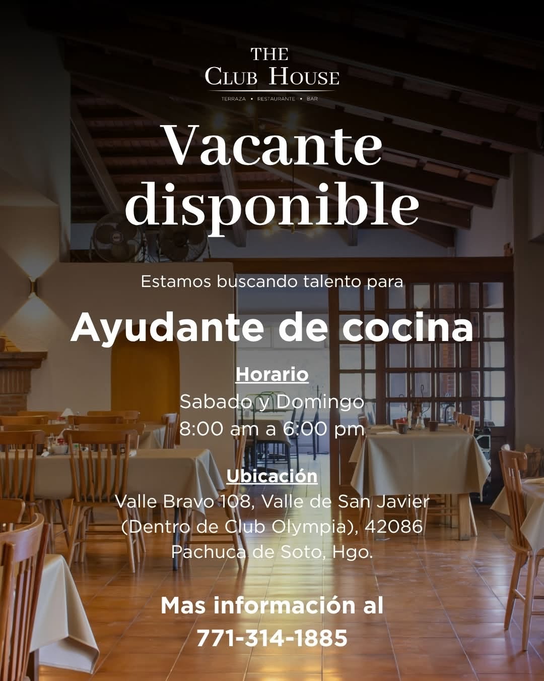 Ayudante de Cocina