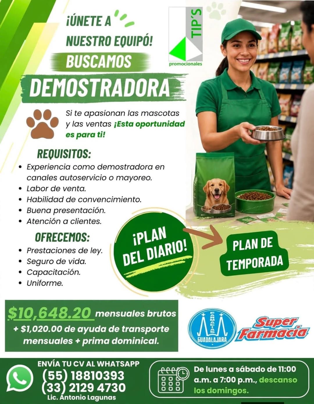 Demostradora