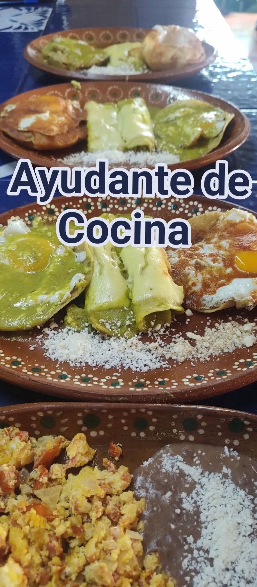 Ayudante de Cocina