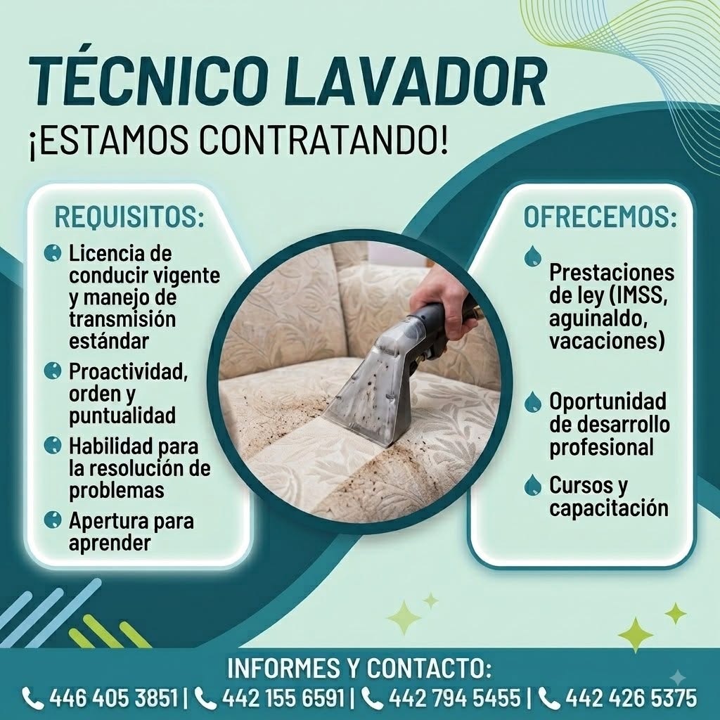 Técnico Lavador