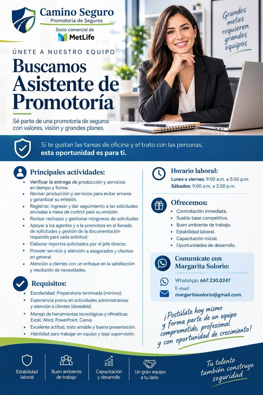 Asistente de Promotoría