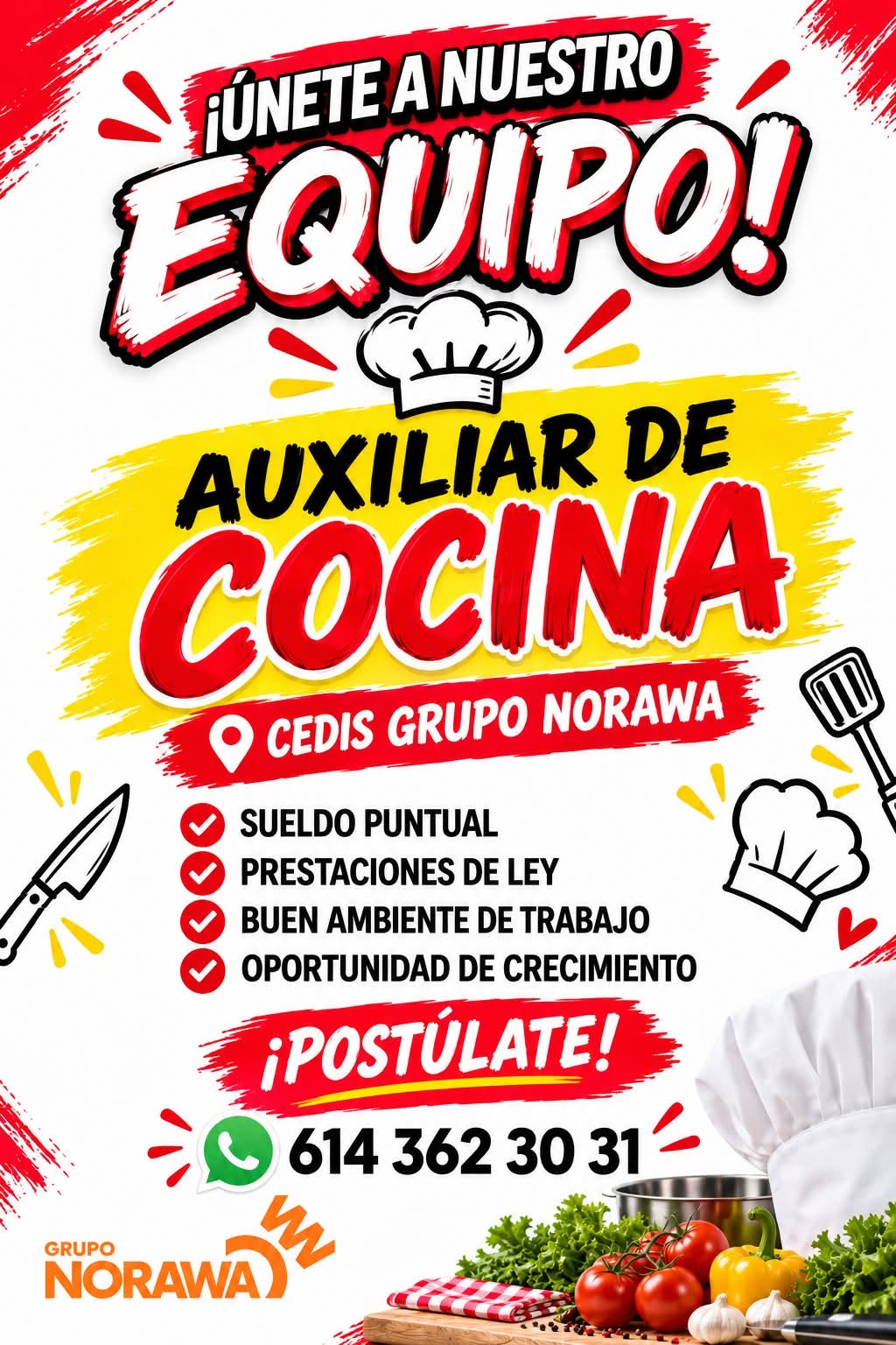 Auxiliar de Cocina