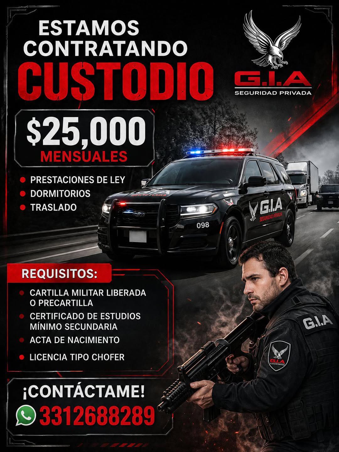 Chofer - Custodio