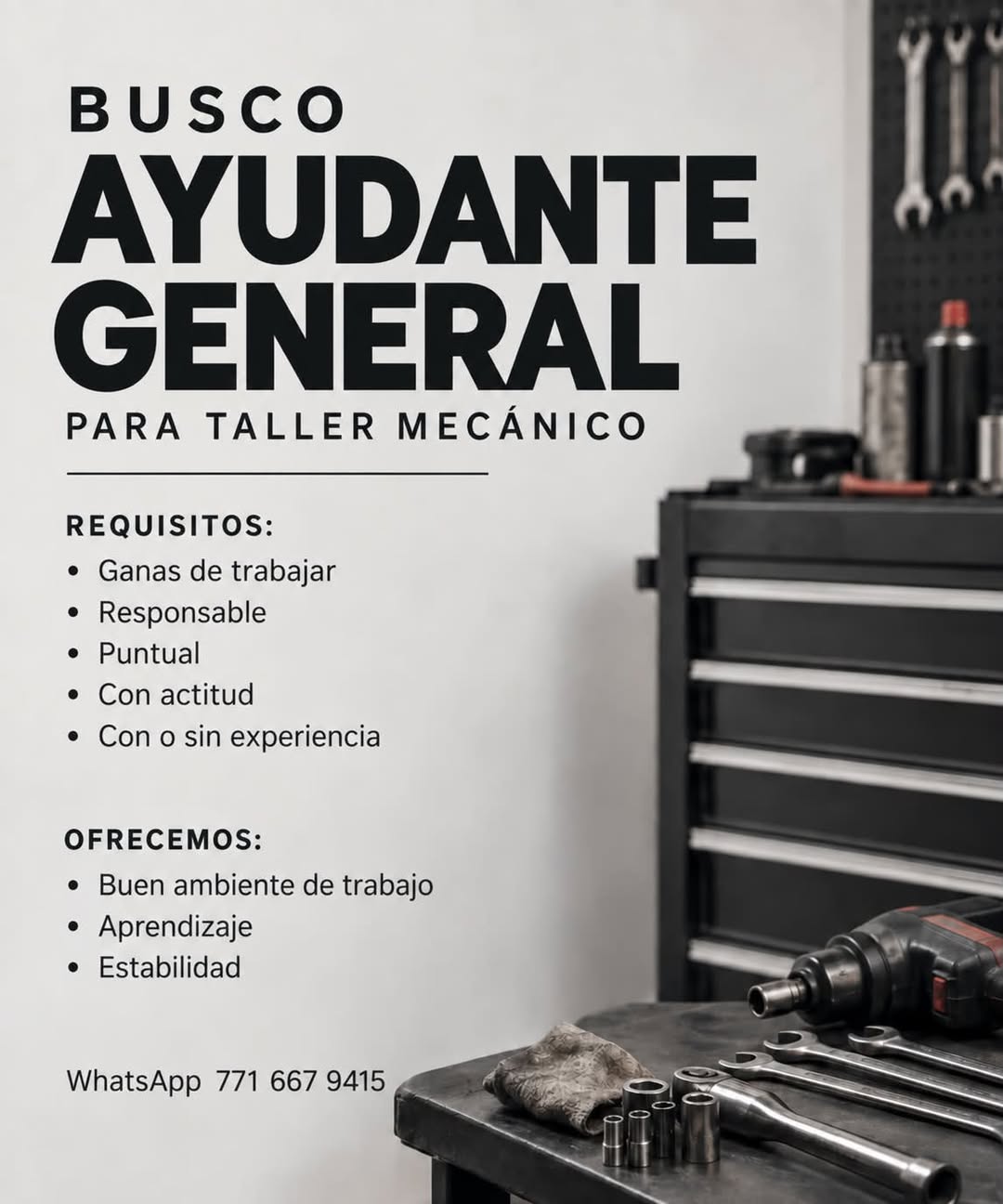Ayudante General