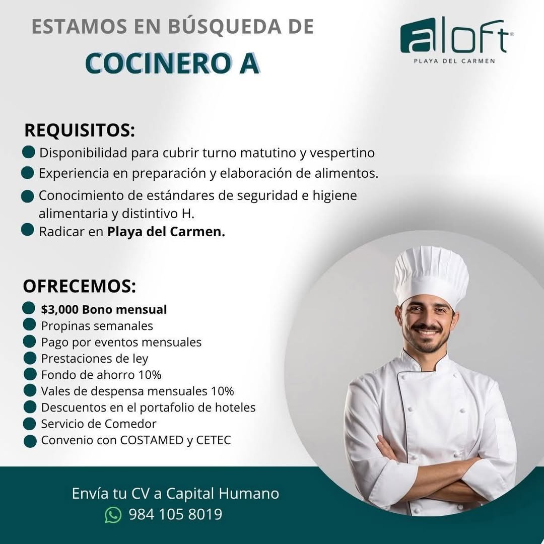 Cocinero