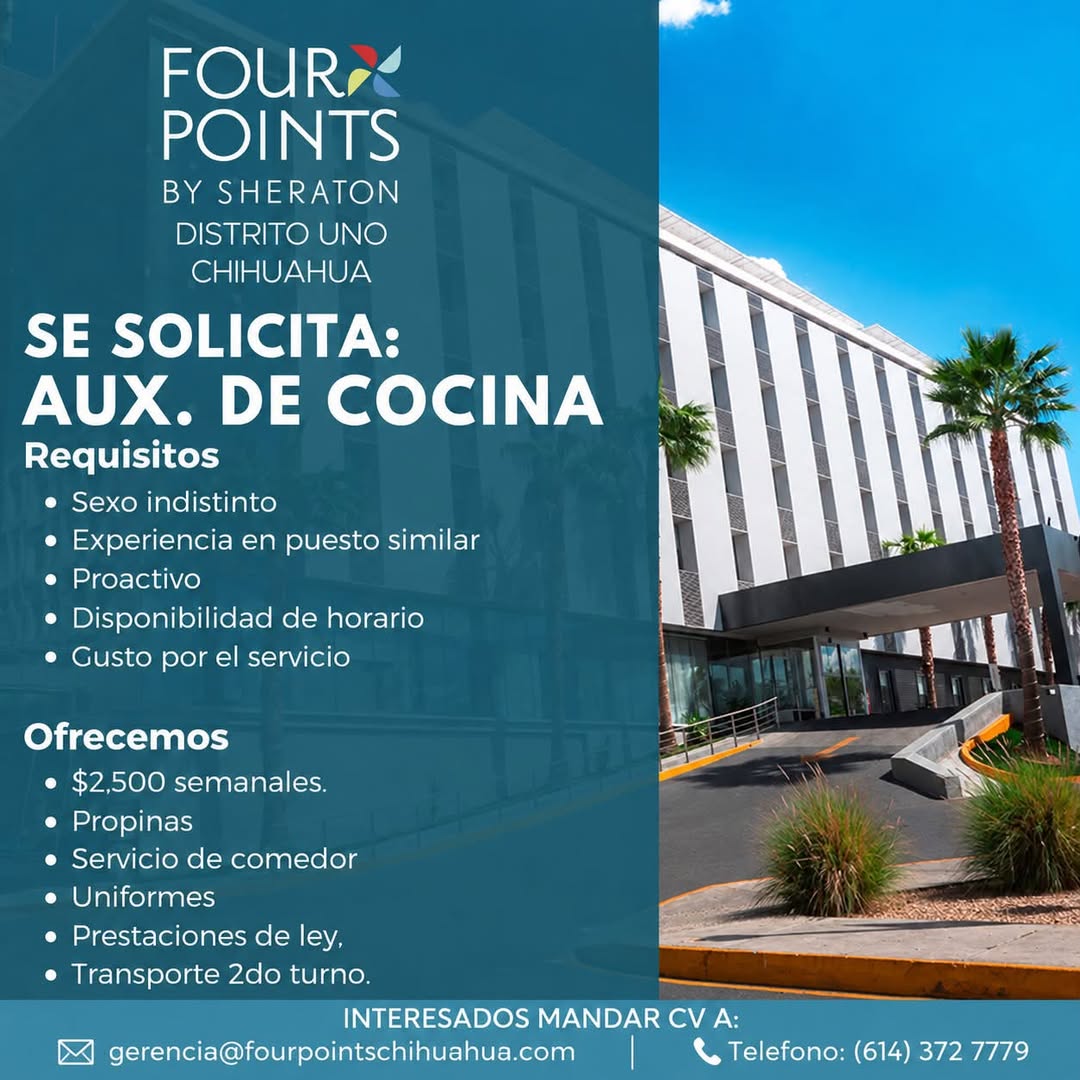 Auxiliar de Cocina