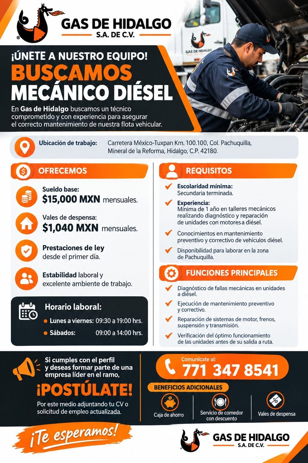 Vacante disponible
