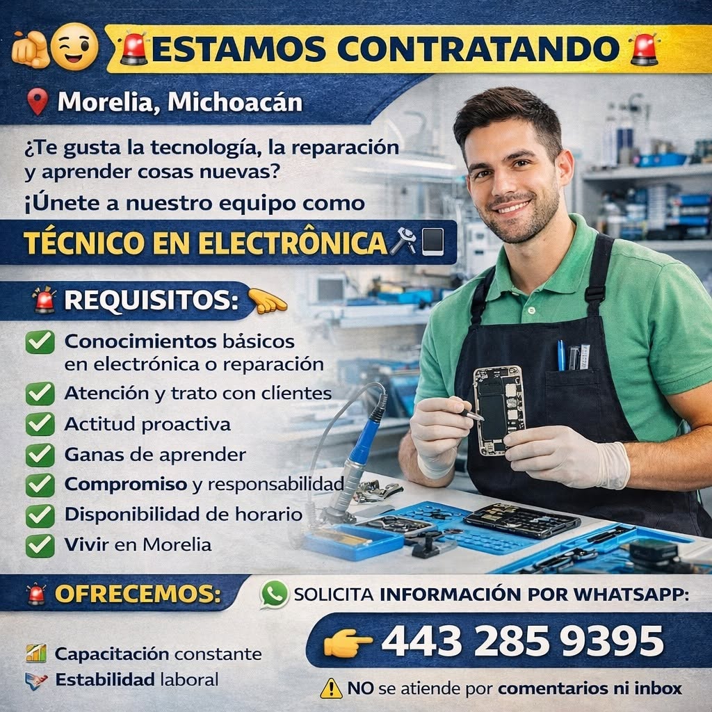 Técnico en Electrónica