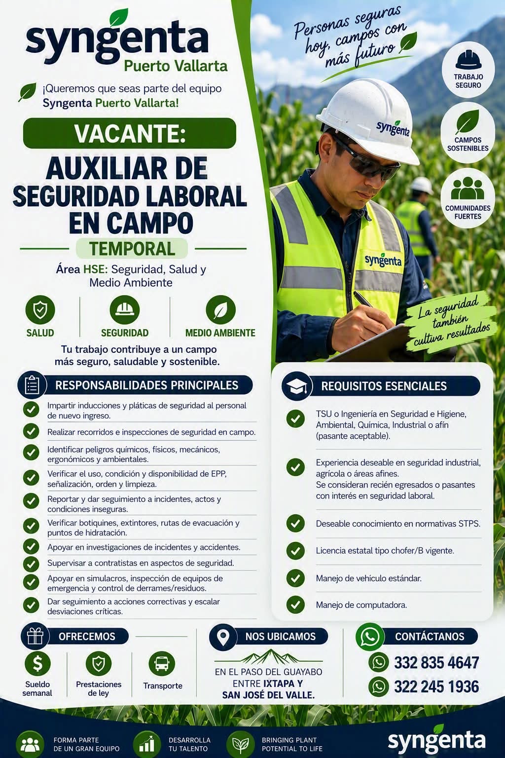 Auxiliar de Seguridad Laboral de Campo