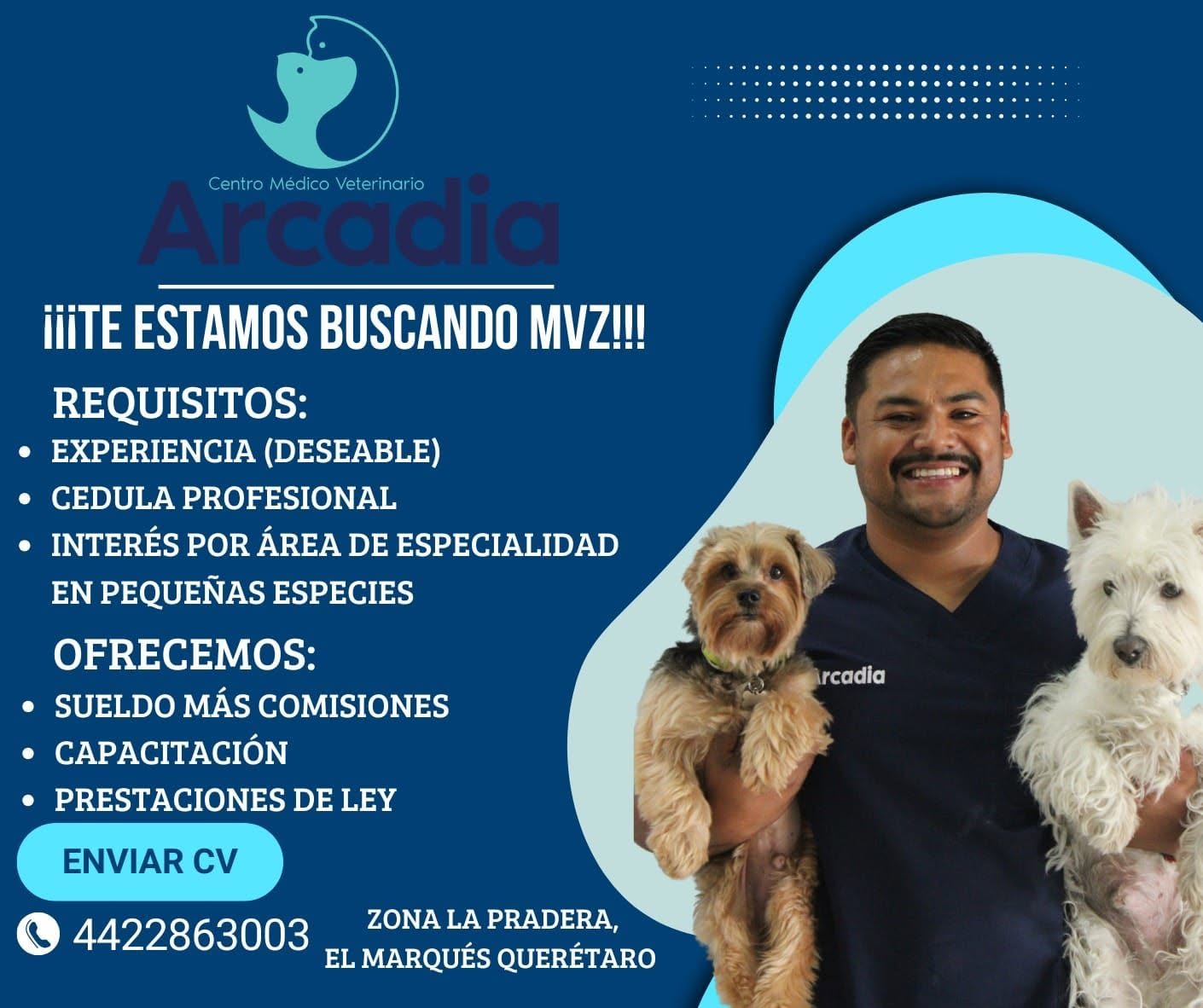 Médico Veterinario