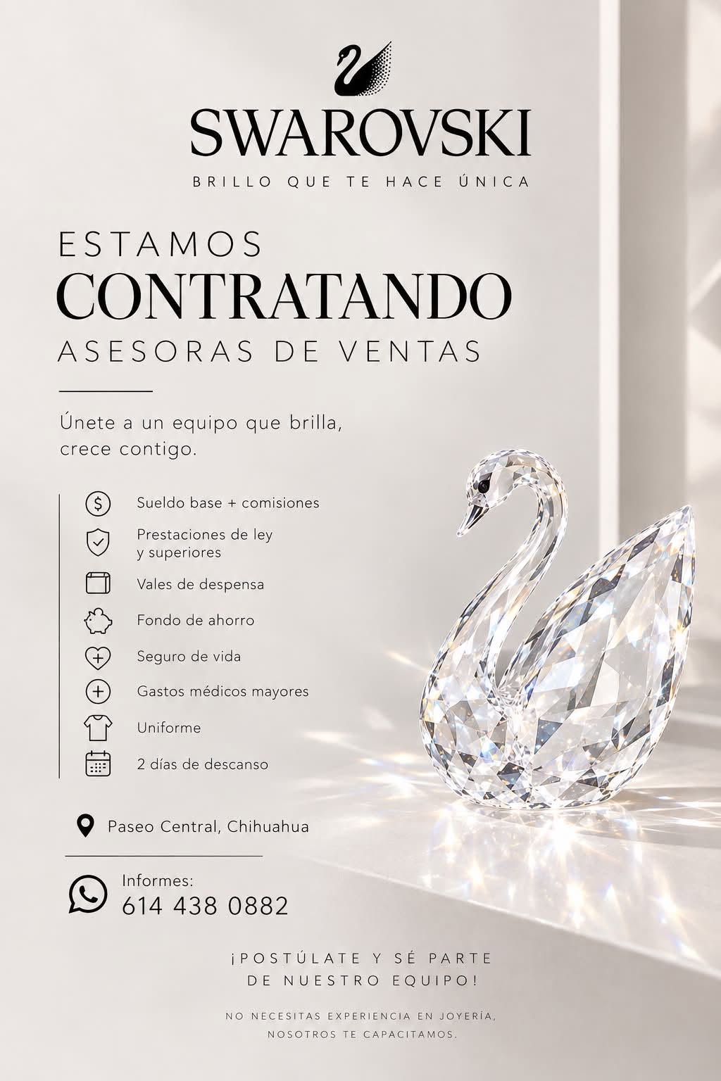 Asesora de Ventas