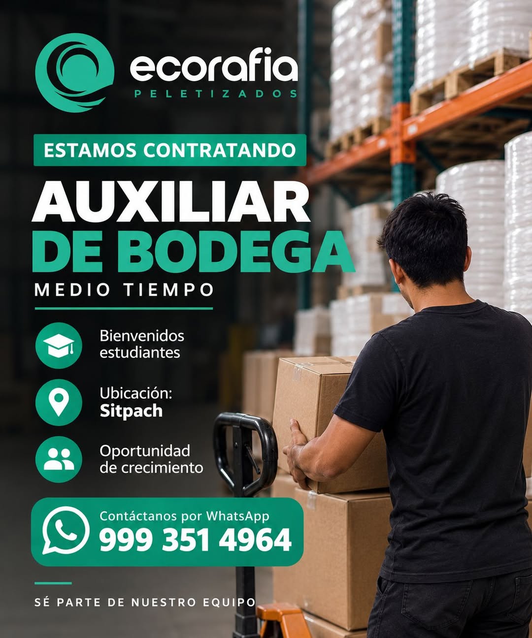 Auxiliar de Bodega