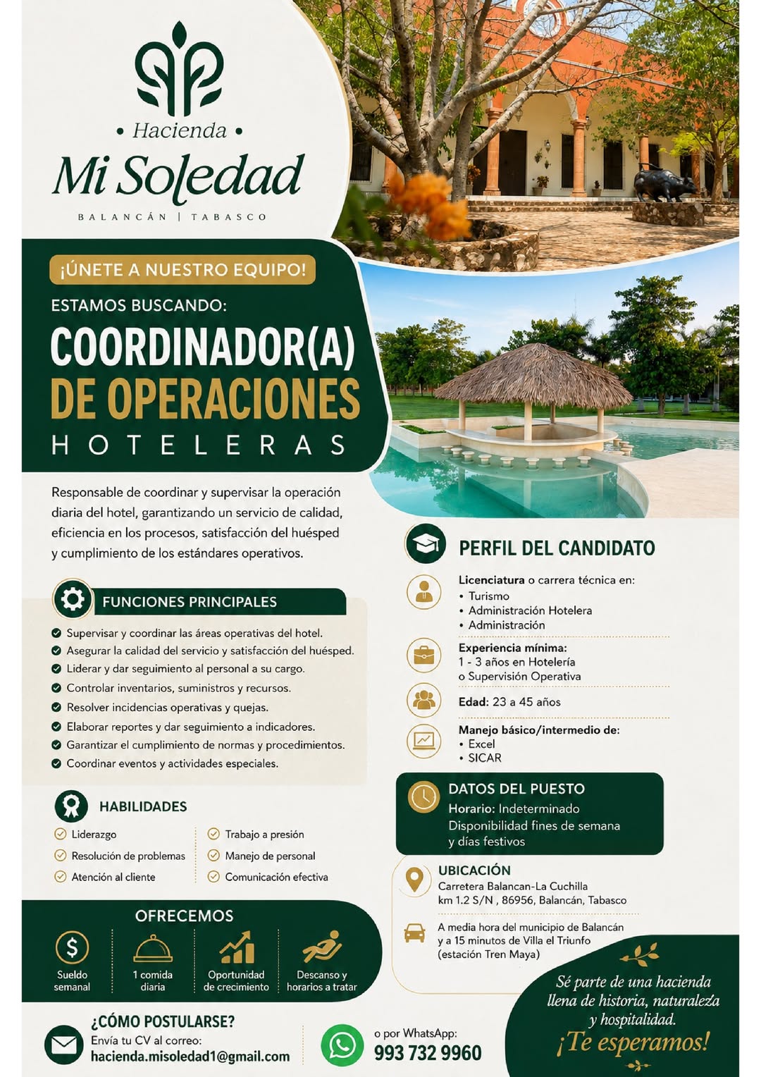 Coordinador(a) de Operaciones