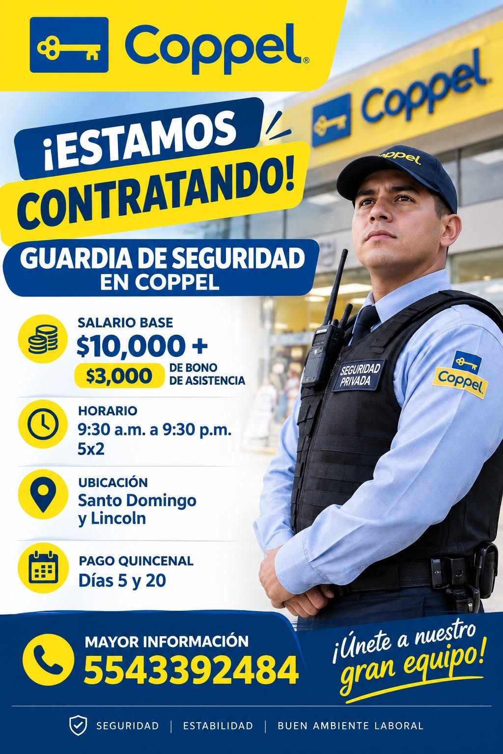 Guardia de Seguridad