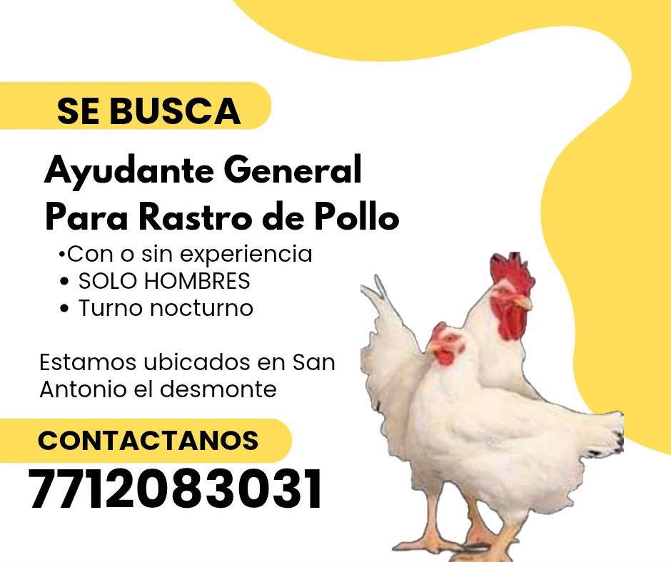 Ayudante General