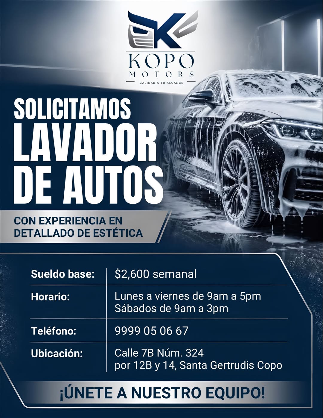 Lavador de Autos