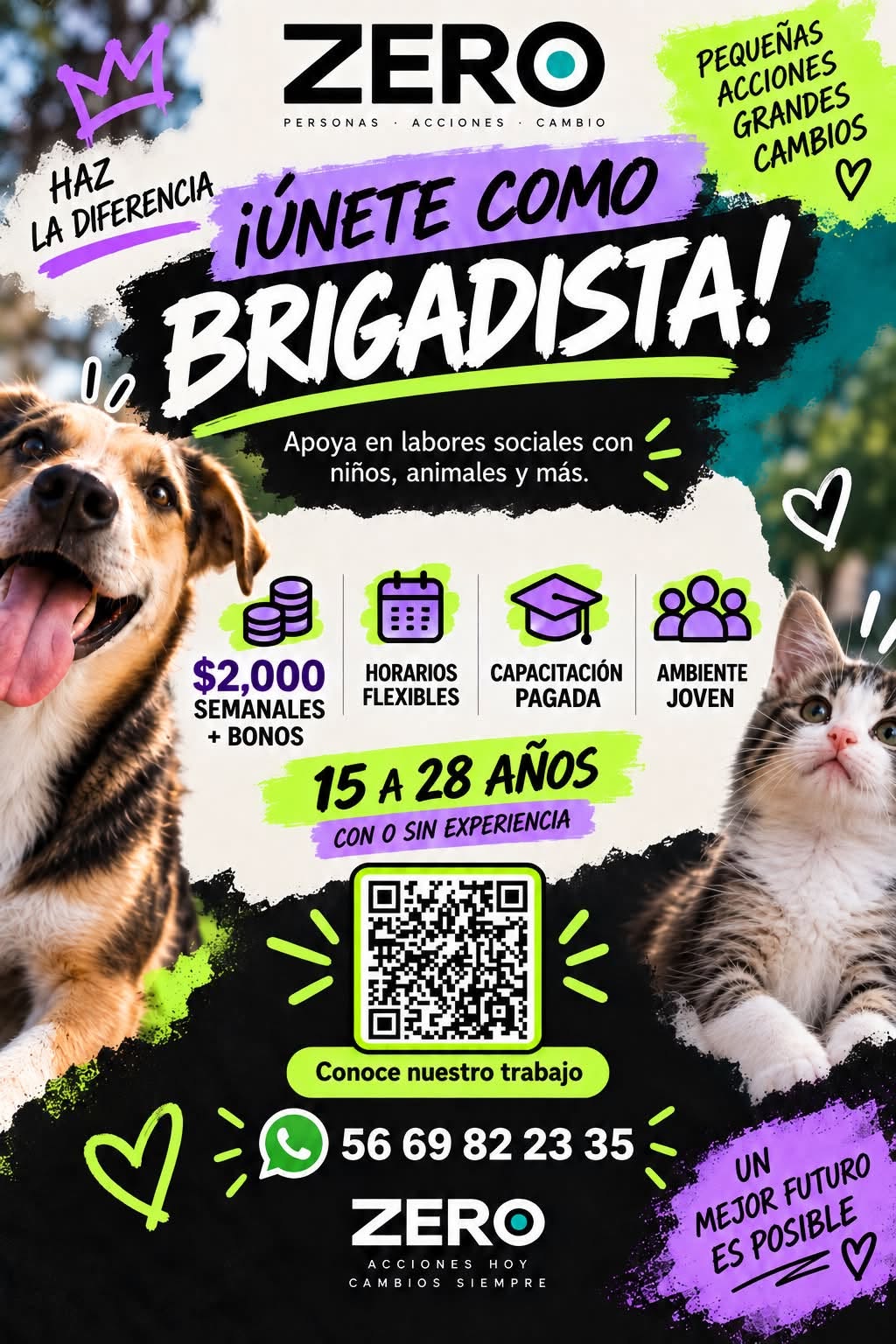 Brigadista