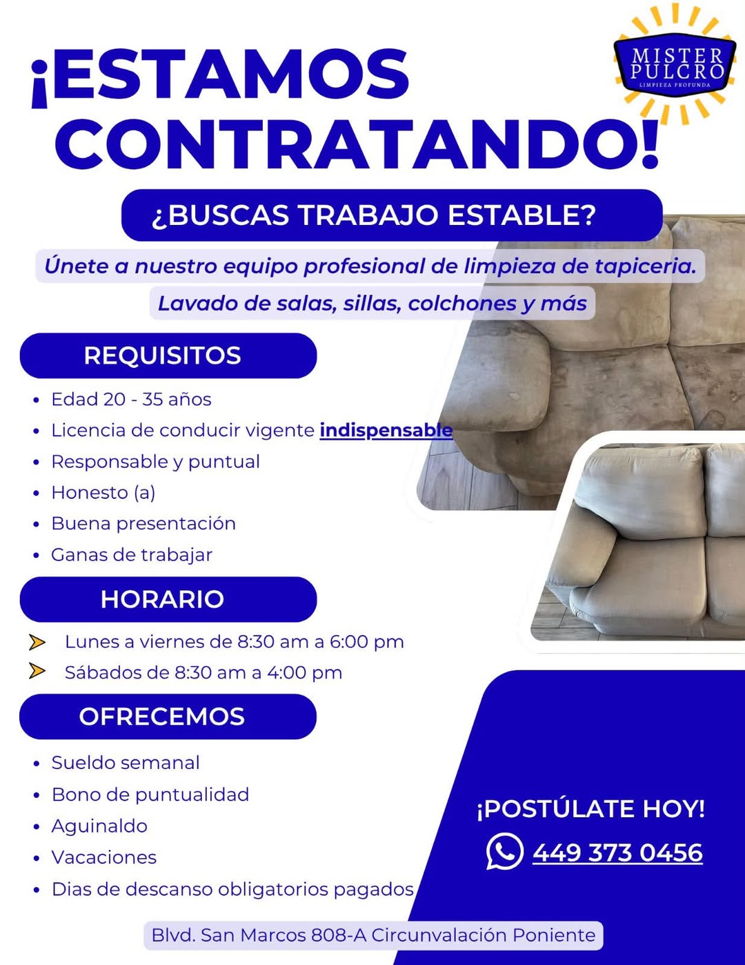 Personal para Limpieza de Tapicería