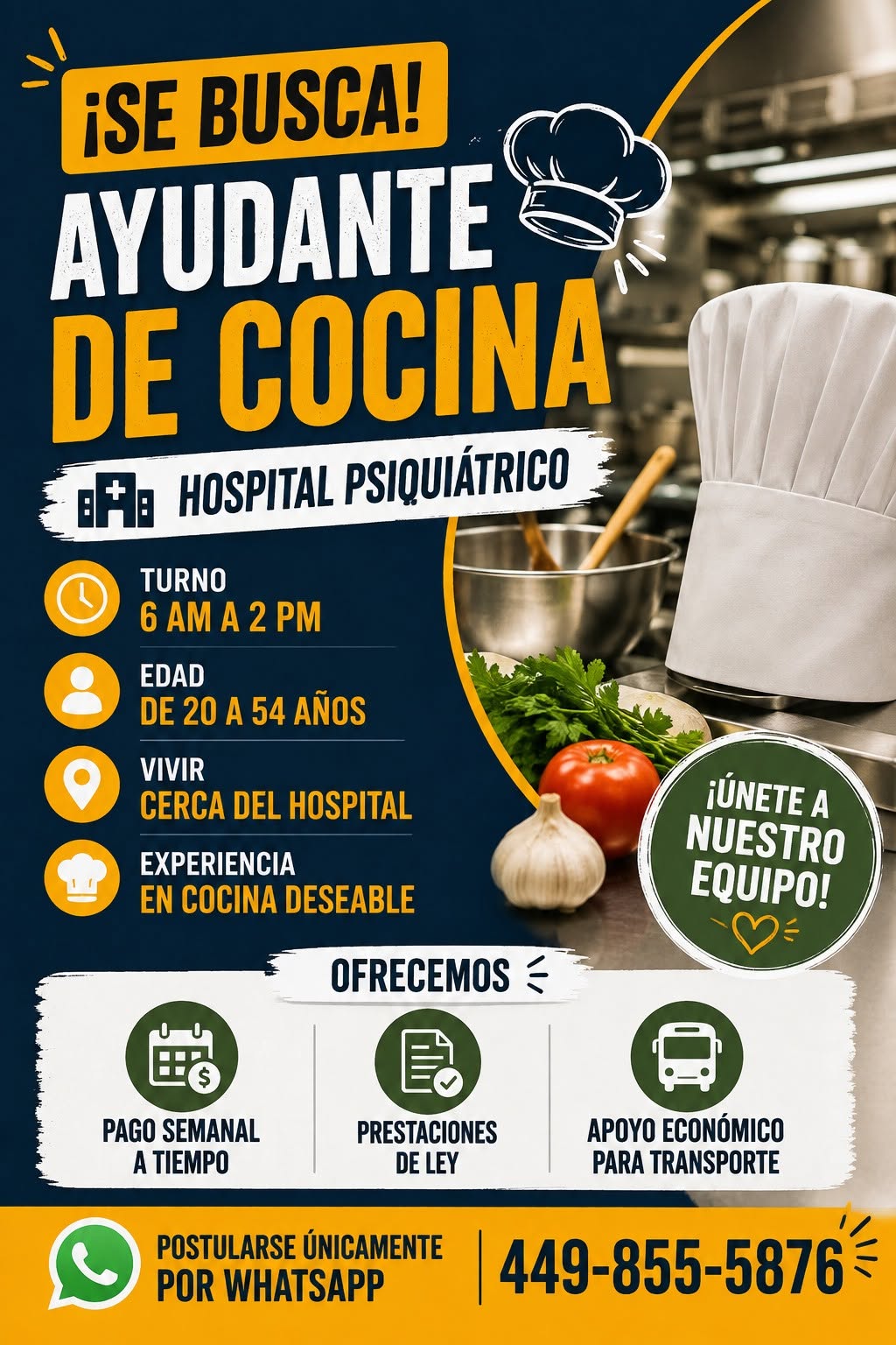 Ayudante de Cocina
