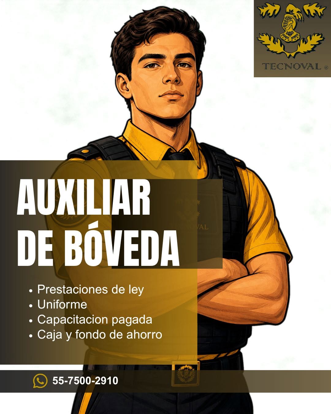 Auxiliar de Bóveda