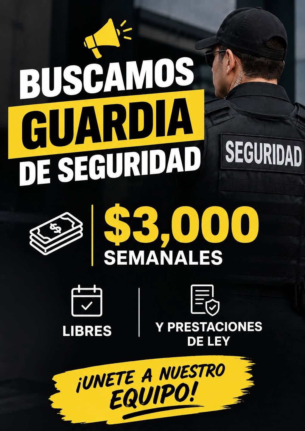 Guardia de Seguridad