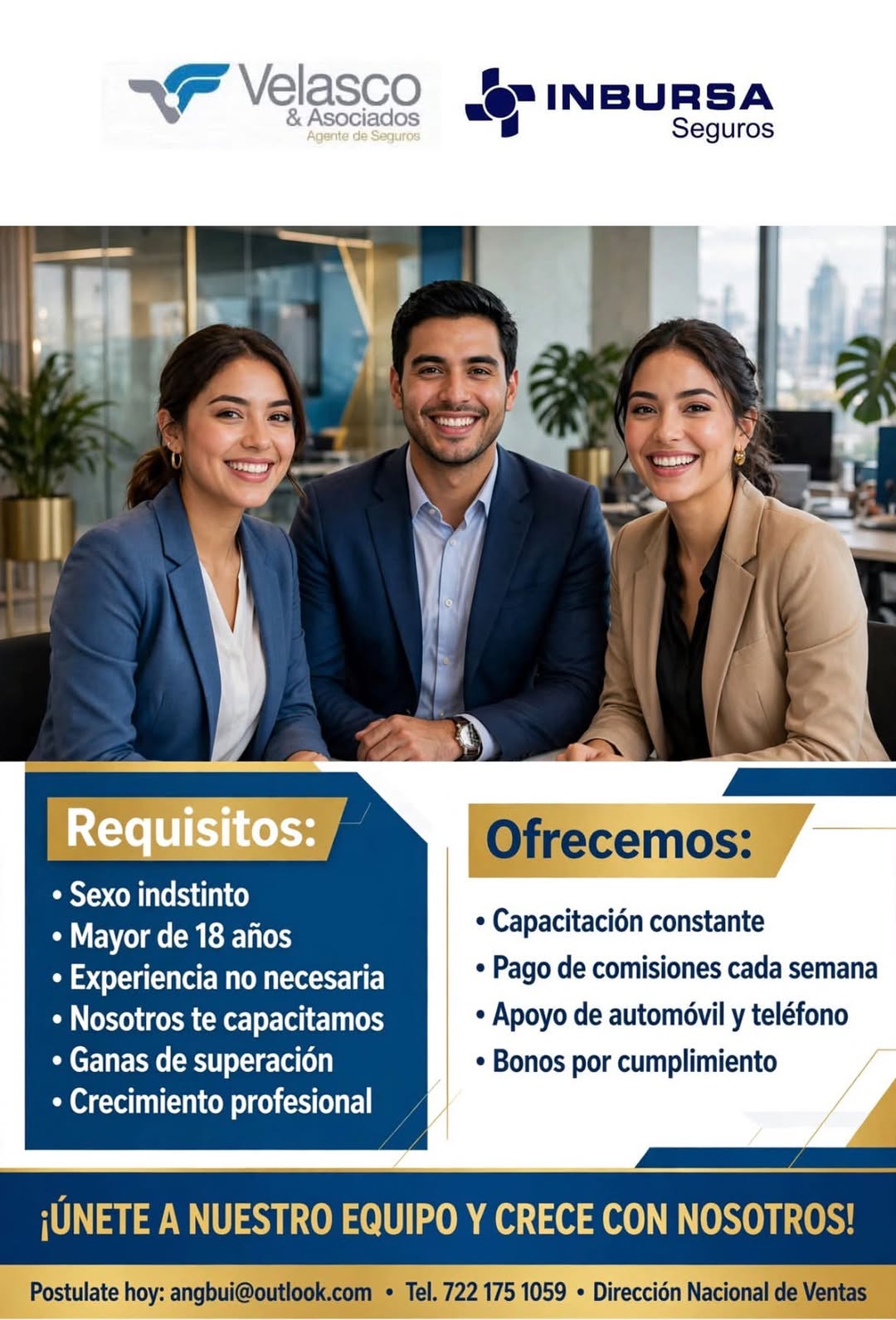 Asesor de Ventas por Cambaceo
