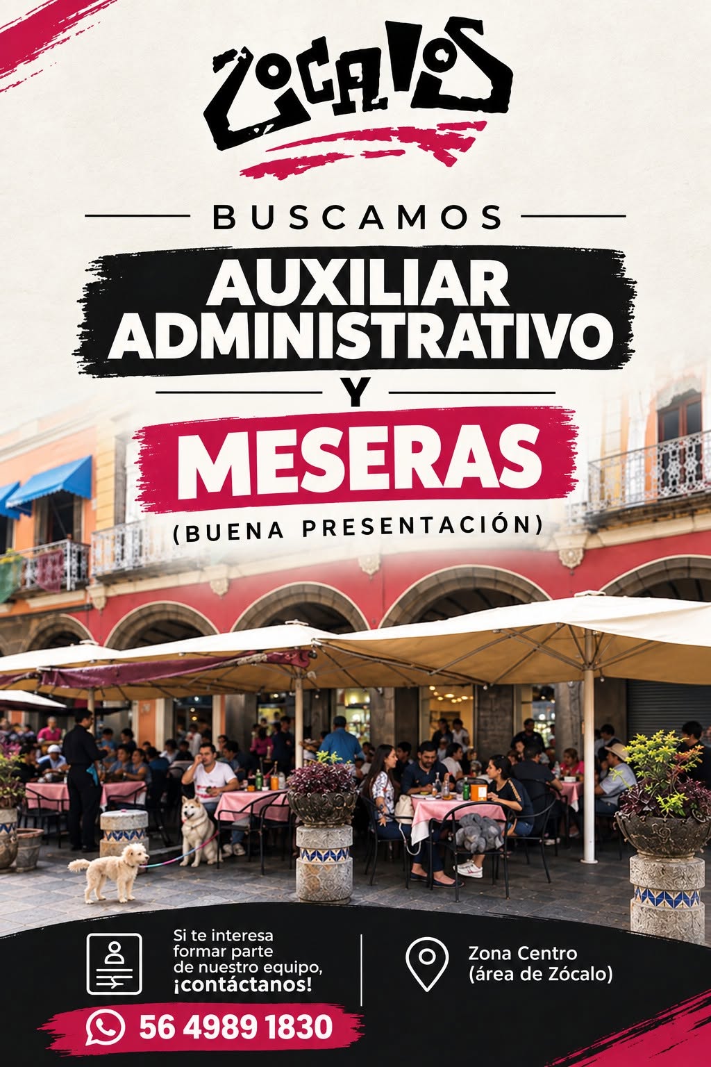 Auxiliar Administrativo