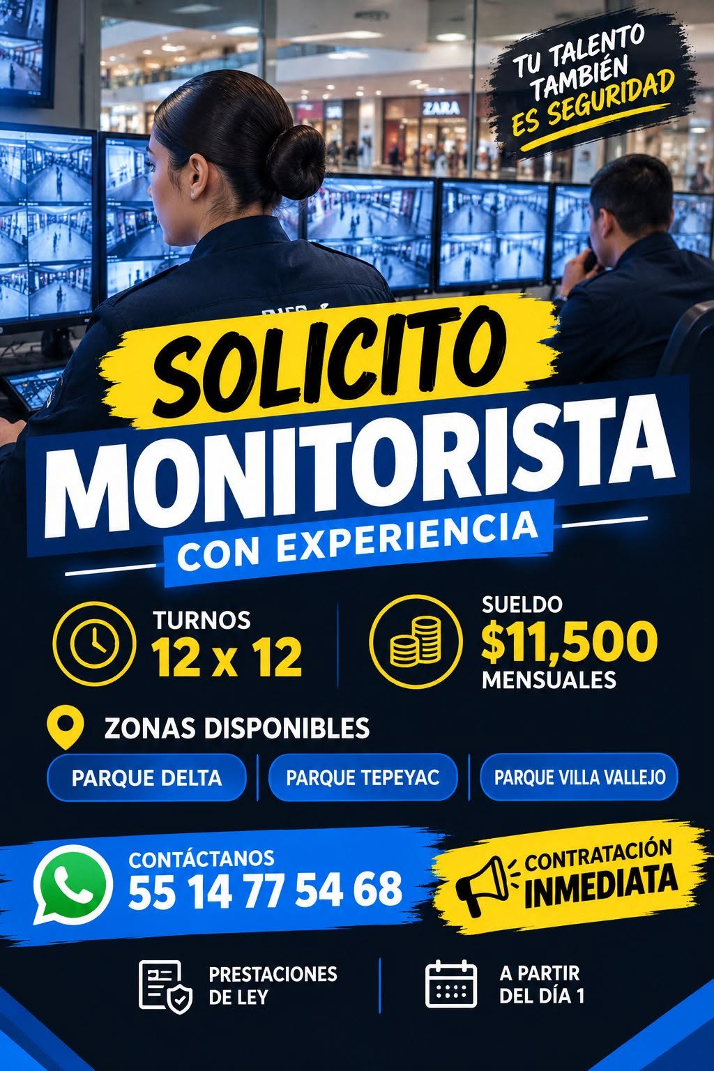 Monitorista