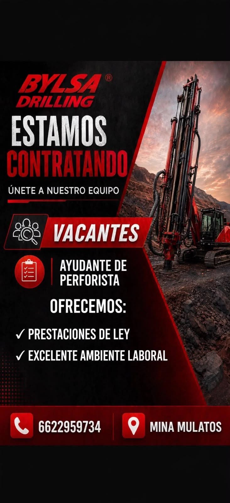 Ayudante de Perforista