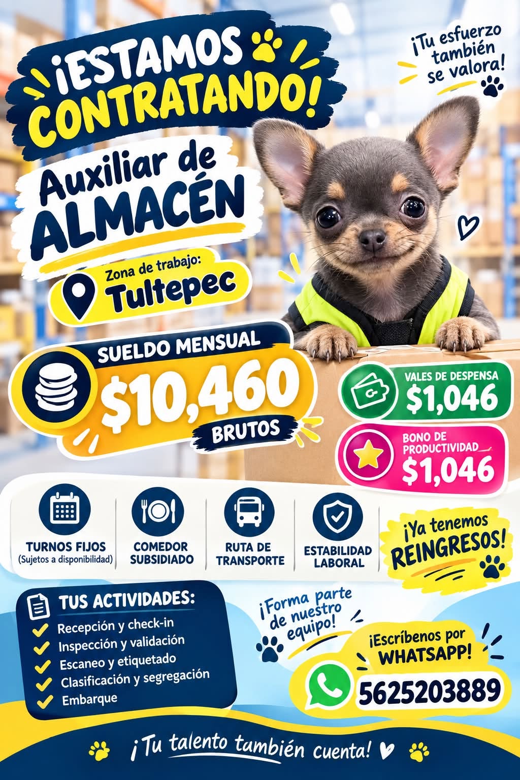 Auxiliar de Almacén