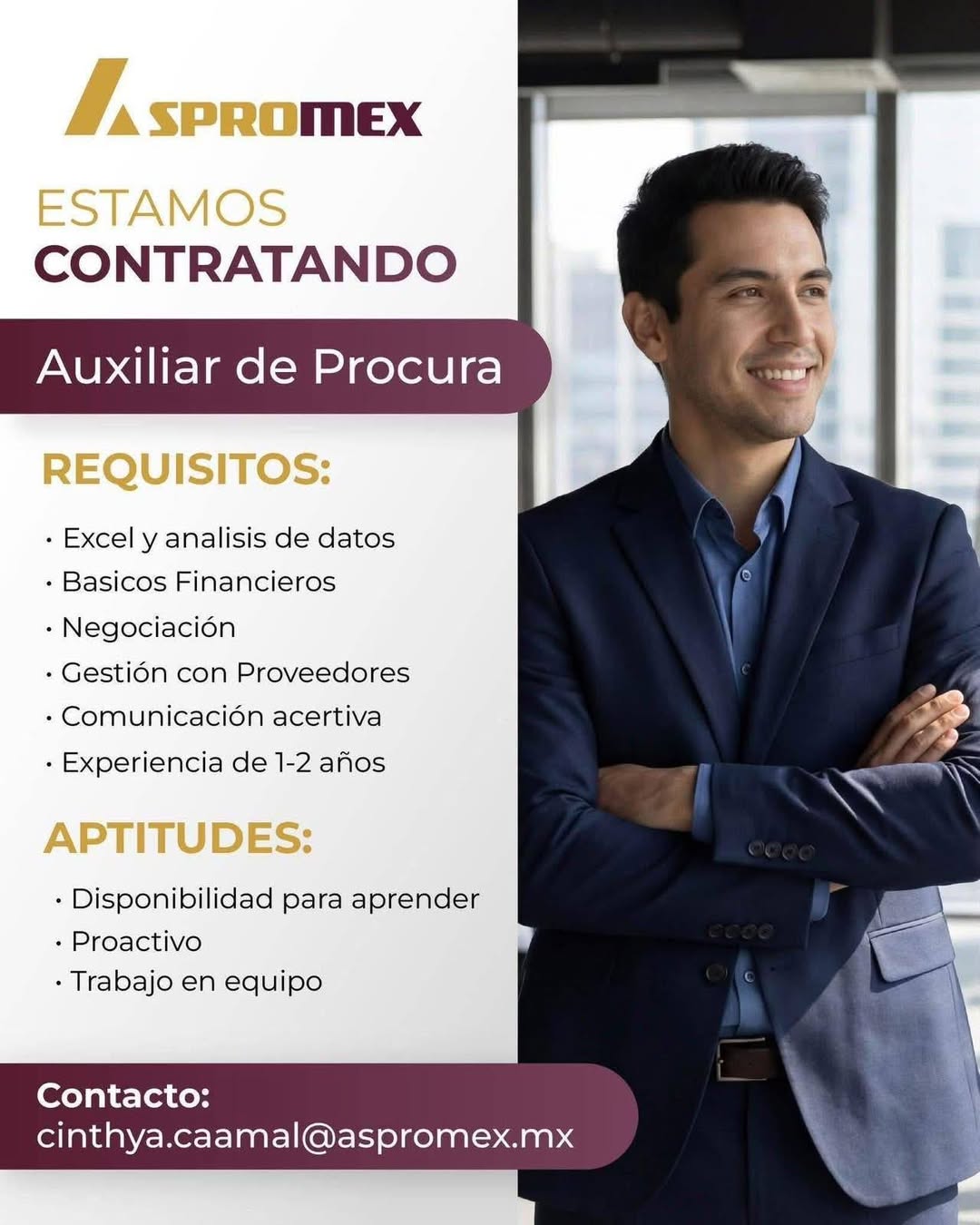 Auxiliar de Procura