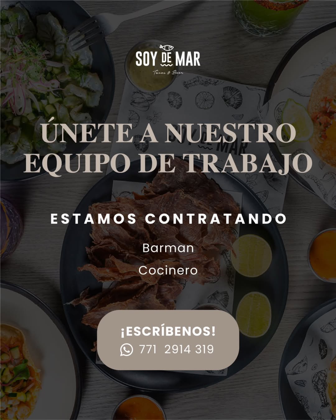 Vacante disponible