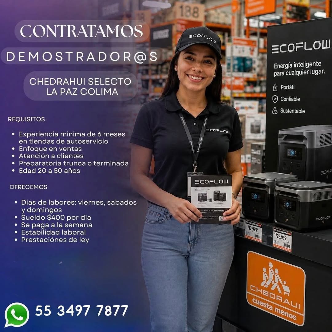 Demostrador/a