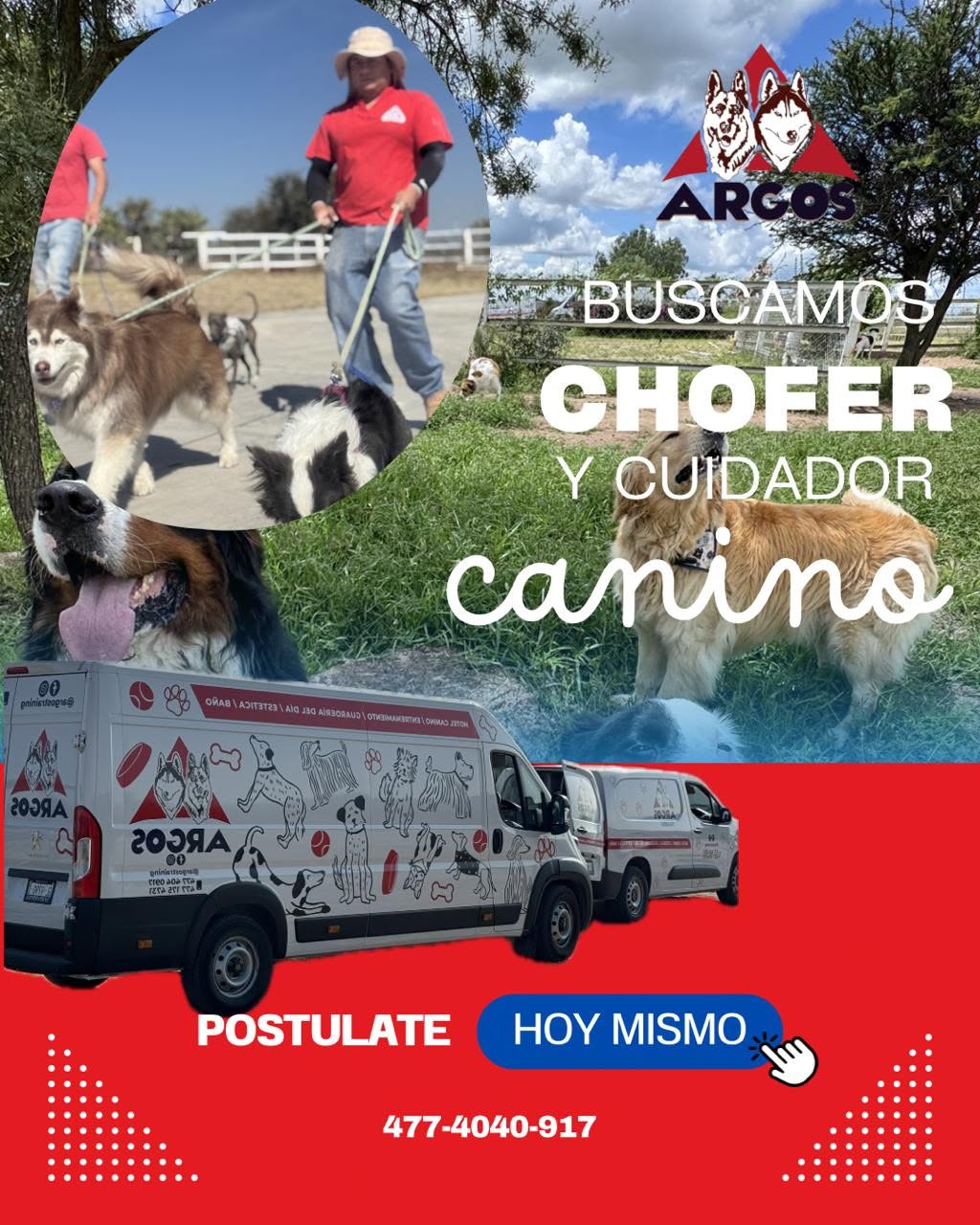 Chófer Canino