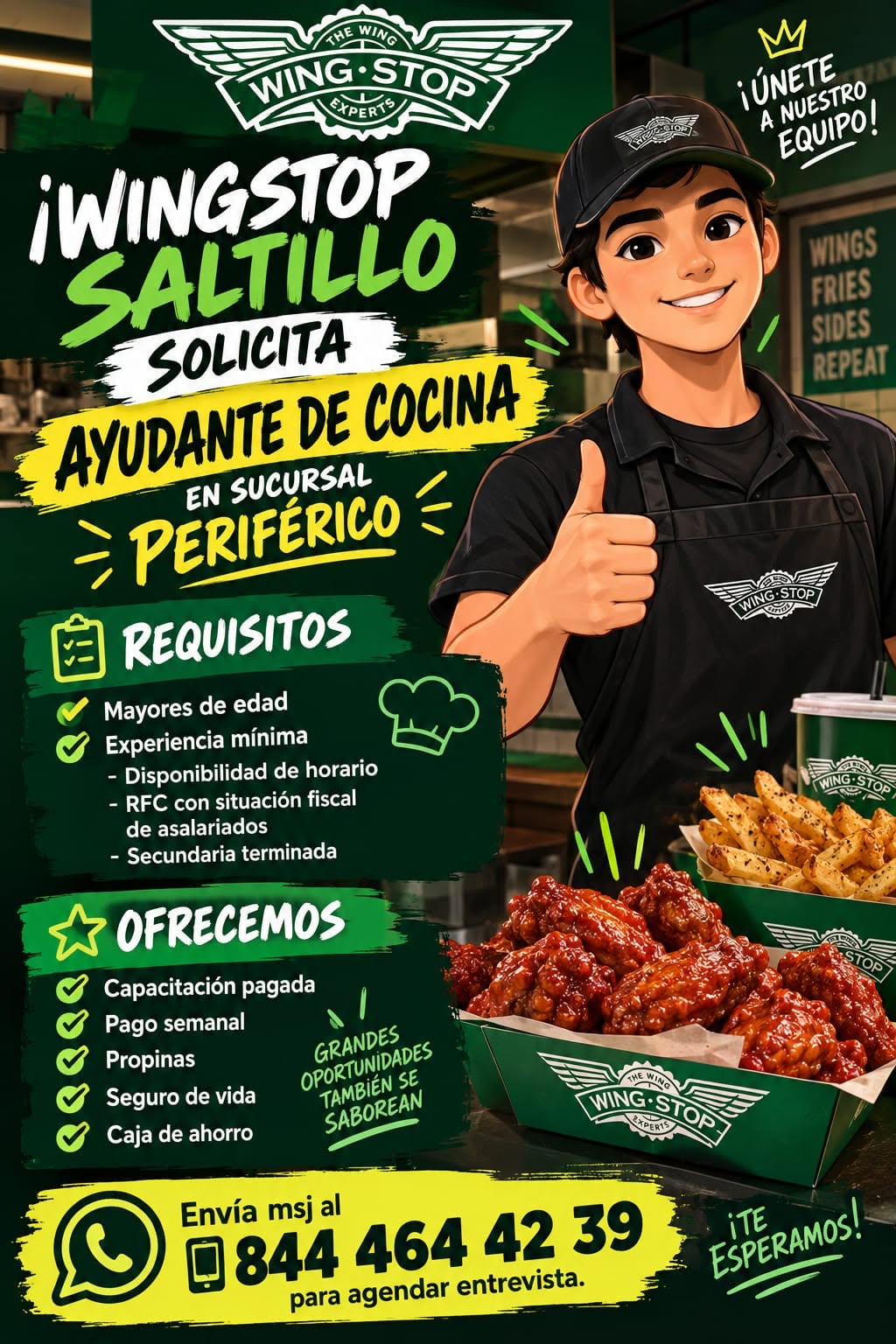 Ayudante de Cocina