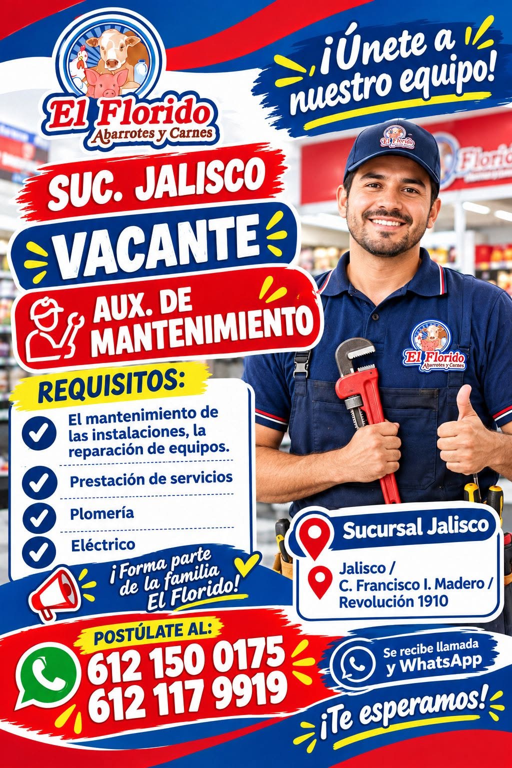 Auxiliar de Mantenimiento
