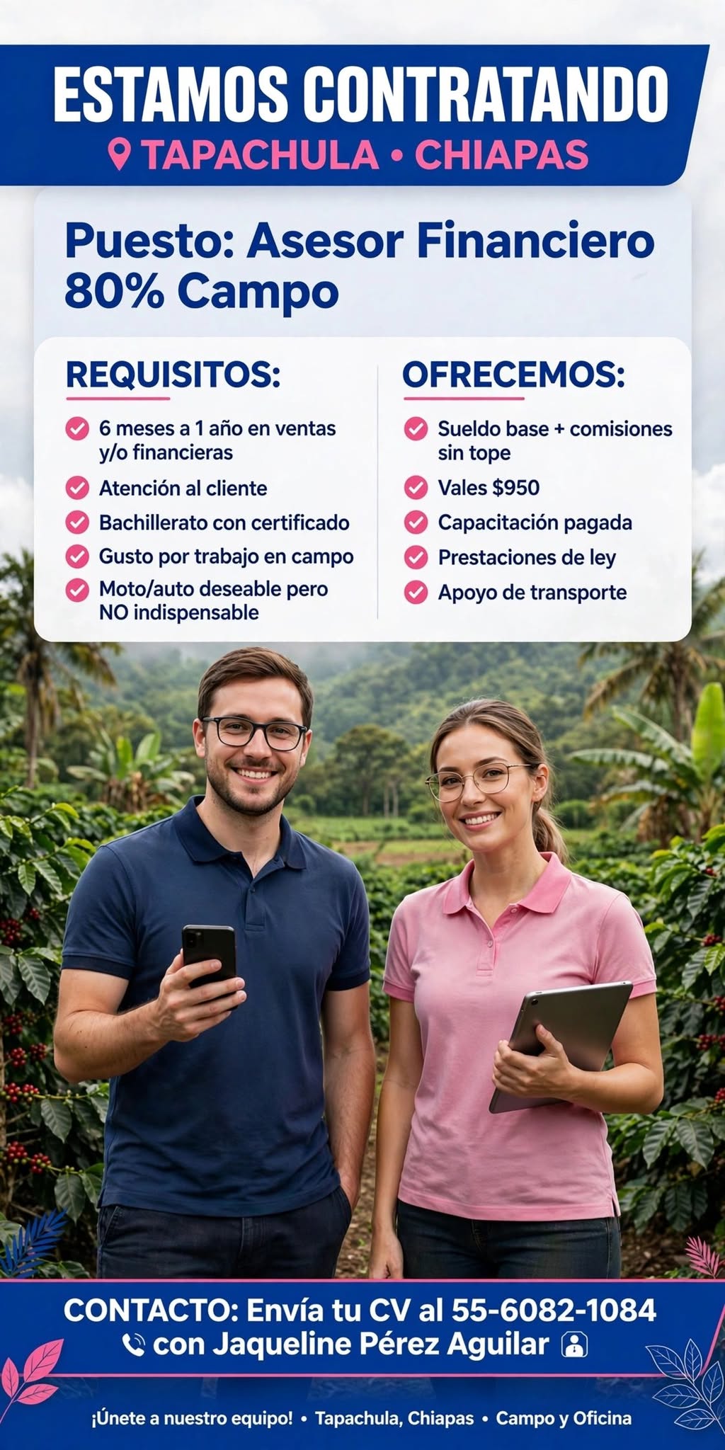 Asesor Financiero