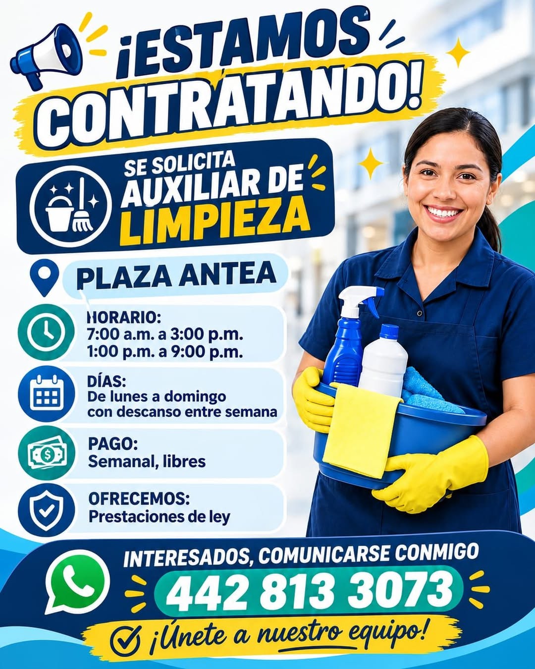 Auxiliar de Limpieza