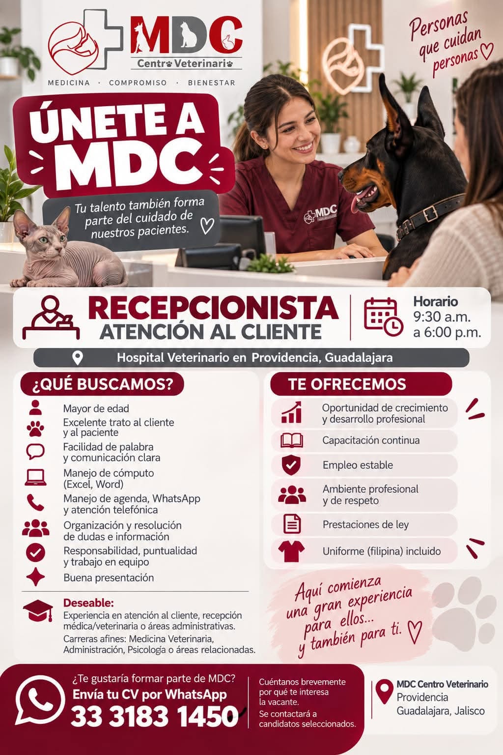 Vacante disponible